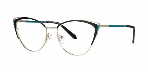 Oprawa okularowa TONNY 48303C2W