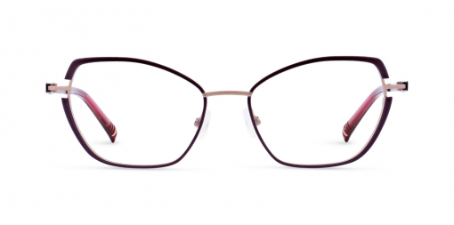 Oprawa okularowa NOMAD 40209N PP12