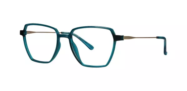 Oprawa z nakładką clip-on TONNY 0028C2W