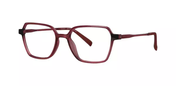 Oprawa z nakładką clip-on TONNY 0034C2K